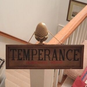 Temperance Rustic Wooden Hanging Sign For Bar Or Man Cave - Brown & Black